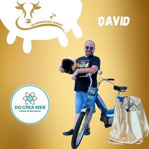 dg crea web meules bleues